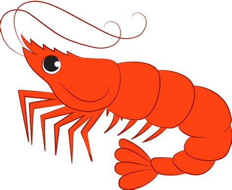 shrimp clipart